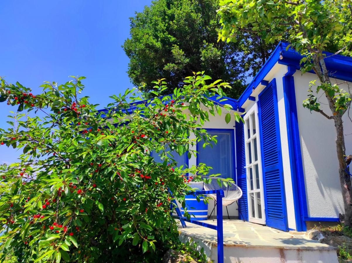 Villa Forest Paradise Ohrida Exterior foto