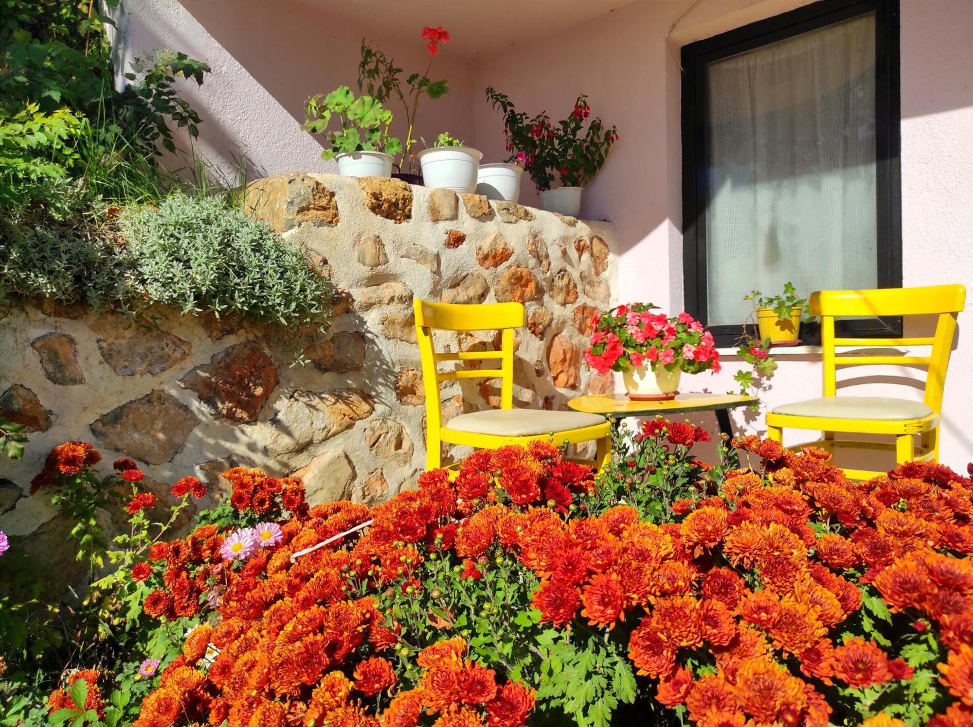 Villa Forest Paradise Ohrida Exterior foto